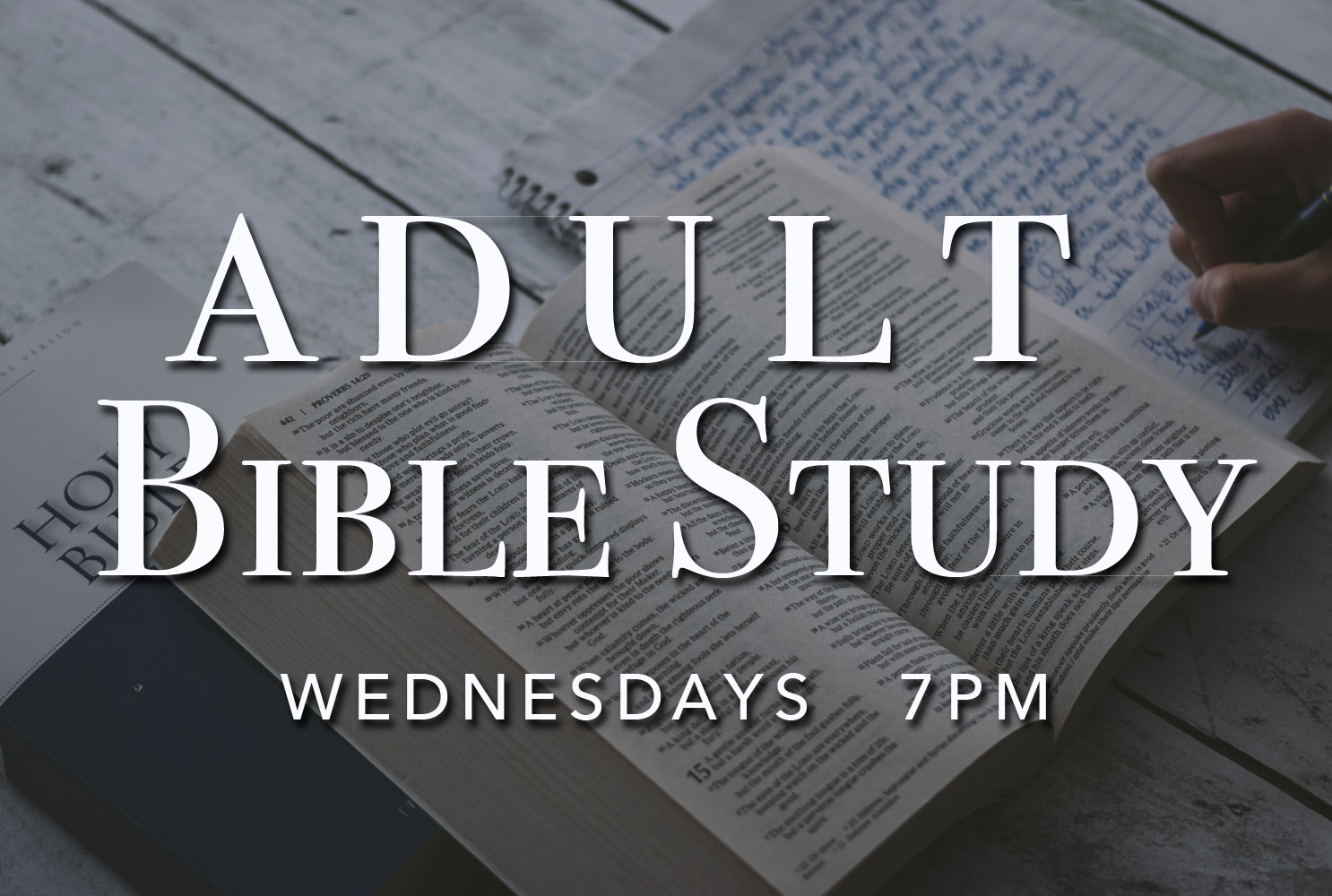 Adult Bible Studies 61
